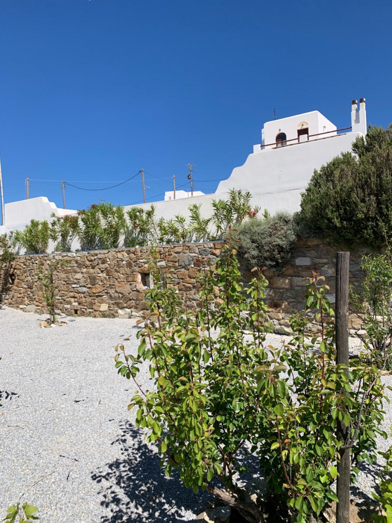 Villa Of Roses In Naxos - Private Villa With Pool Naxos City Εξωτερικό φωτογραφία